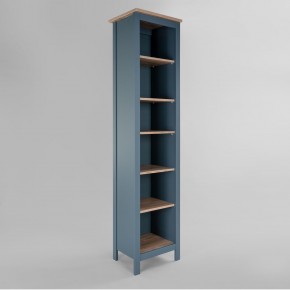 2.08.07.100.16 САГА стеллаж 50 темно-бирюзовый/ясень RU в Кургане - kurgan.ok-mebel.com | фото