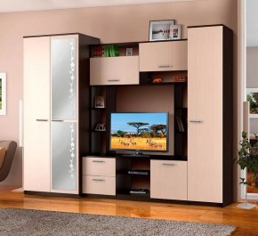 АЛЕКСАНДРА 10 Стенка в Кургане - kurgan.ok-mebel.com | фото 2