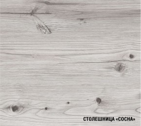АСАЯ Кухонный гарнитур Экстра (3000 мм) в Кургане - kurgan.ok-mebel.com | фото 8