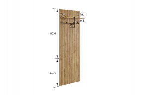 БОДРУМ Прихожая (модульная) дуб крафт золотой в Кургане - kurgan.ok-mebel.com | фото 2