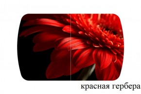 БОСТОН - 3 Стол раздвижной 1100/1420 опоры Триумф в Кургане - kurgan.ok-mebel.com | фото 18