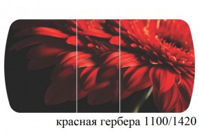 БОСТОН - 3 Стол раздвижной 1100/1420 опоры Триумф в Кургане - kurgan.ok-mebel.com | фото 19