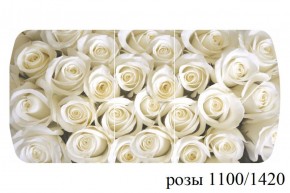 БОСТОН - 3 Стол раздвижной 1100/1420 опоры Триумф в Кургане - kurgan.ok-mebel.com | фото 37