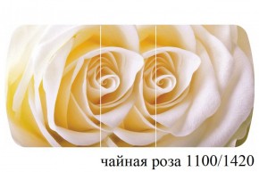 БОСТОН - 3 Стол раздвижной 1100/1420 опоры Триумф в Кургане - kurgan.ok-mebel.com | фото 48