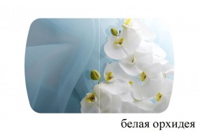БОСТОН - 3 Стол раздвижной 1100/1420 опоры Триумф в Кургане - kurgan.ok-mebel.com | фото 8