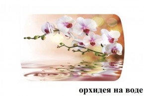 БОСТОН - 3 Стол раздвижной 1100/1420 опоры Триумф белые в Кургане - kurgan.ok-mebel.com | фото 3