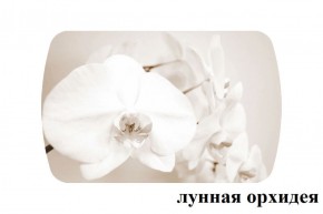 БОСТОН опоры Триумф в Кургане - kurgan.ok-mebel.com | фото 33