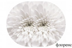 БОСТОН Стол круглый раздвижной 1080/1420 опоры Брифинг в Кургане - kurgan.ok-mebel.com | фото 15