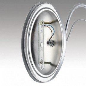 Бра Lumion INCANTO 8034/1W в Кургане - kurgan.ok-mebel.com | фото 7