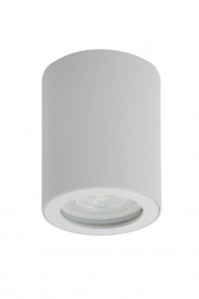 DK3007-WH Накладной светильник влагозащ., IP 44, 15 Вт, GU10, белый, алюминий в Кургане - kurgan.ok-mebel.com | фото