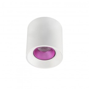 DK3090-WH+PI Светильник накладной IP 20, 10 Вт, GU5.3, LED, белый/розовый, пластик в Кургане - kurgan.ok-mebel.com | фото