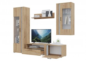 Гостиная Омега (Крафт золотой-Бетон) в Кургане - kurgan.ok-mebel.com | фото 4