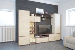 Гостиная Пекин с пеналом (ЭРА) в Кургане - kurgan.ok-mebel.com | фото 2