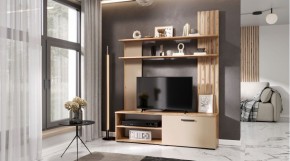 КАРОЛИНА Гостиная (дуб вотан/кашемир) в Кургане - kurgan.ok-mebel.com | фото