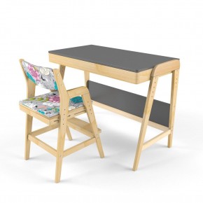 Комплект растущий стол и стул с чехлом 38 попугаев «Вуди» (Серый, Без покрытия, Мечта) в Кургане - kurgan.ok-mebel.com | фото
