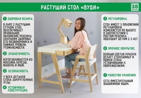 Комплект растущий стол и стул с чехлом 38 попугаев «Вуди» (Серый, Без покрытия, Ромбы) в Кургане - kurgan.ok-mebel.com | фото