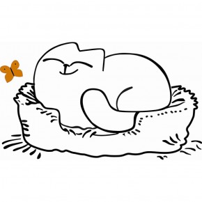 Кровать двухуровневая Кот № 900.1 ЛЕВАЯ (туя светлая/белый) в Кургане - kurgan.ok-mebel.com | фото 2