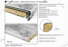 Кухонный фартук со столешницей (А-01) в едином стиле (3050 мм) в Кургане - kurgan.ok-mebel.com | фото 6