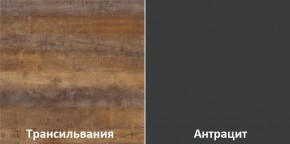Кухонный гарнитур угловой Трансильвания 2600х1600 мм (Стол. 38 мм) в Кургане - kurgan.ok-mebel.com | фото 3