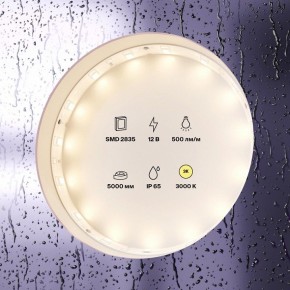 Лента светодиодная Maytoni Led strip 10105 в Кургане - kurgan.ok-mebel.com | фото 2