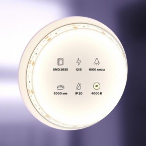 Лента светодиодная Maytoni Led strip 10109 в Кургане - kurgan.ok-mebel.com | фото 2