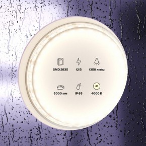 Лента светодиодная Maytoni Led strip 10118 в Кургане - kurgan.ok-mebel.com | фото 2