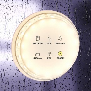 Лента светодиодная Maytoni Led strip 10131 в Кургане - kurgan.ok-mebel.com | фото 2