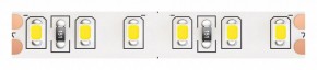 Лента светодиодная Maytoni Led strip 10147 в Кургане - kurgan.ok-mebel.com | фото