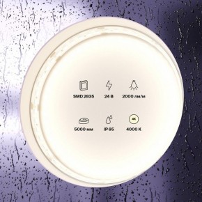 Лента светодиодная Maytoni Led strip 10158 в Кургане - kurgan.ok-mebel.com | фото 2