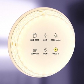Лента светодиодная Maytoni Led strip 20031 в Кургане - kurgan.ok-mebel.com | фото 2