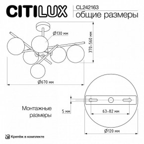 Люстра на штанге Citilux RONNY CL242163 в Кургане - kurgan.ok-mebel.com | фото 12