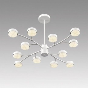 Люстра на штанге Lumion TORINA 8265/12 в Кургане - kurgan.ok-mebel.com | фото 5