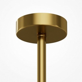 Люстра на штанге Maytoni Museo MOD436PL-07BS в Кургане - kurgan.ok-mebel.com | фото 5