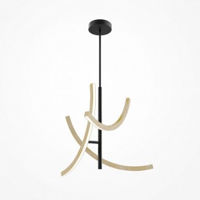Люстра на штанге Maytoni Wabi MOD428PL-L27BK в Кургане - kurgan.ok-mebel.com | фото 5
