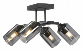 Люстра на штанге Vitaluce V2833 V2833-1/4PL в Кургане - kurgan.ok-mebel.com | фото