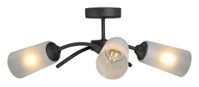 Люстра на штанге Vitaluce V2850 V2850-1/3PL в Кургане - kurgan.ok-mebel.com | фото