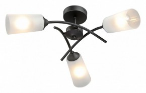 Люстра на штанге Vitaluce V2850 V2850-1/3PL в Кургане - kurgan.ok-mebel.com | фото 2