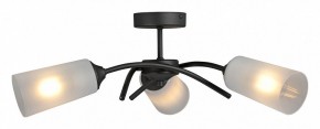 Люстра на штанге Vitaluce V2850 V2850-1/3PL в Кургане - kurgan.ok-mebel.com | фото 3