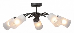 Люстра на штанге Vitaluce V2850 V2850-1/5PL в Кургане - kurgan.ok-mebel.com | фото