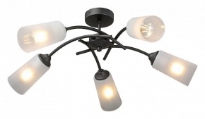 Люстра на штанге Vitaluce V2850 V2850-1/5PL в Кургане - kurgan.ok-mebel.com | фото 2