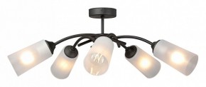 Люстра на штанге Vitaluce V2850 V2850-1/5PL в Кургане - kurgan.ok-mebel.com | фото 3
