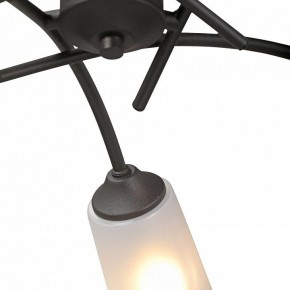 Люстра на штанге Vitaluce V2850 V2850-1/5PL в Кургане - kurgan.ok-mebel.com | фото 6