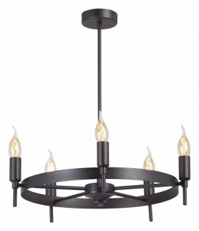 Люстра на штанге Vitaluce V3001 V3001-1/5PL в Кургане - kurgan.ok-mebel.com | фото