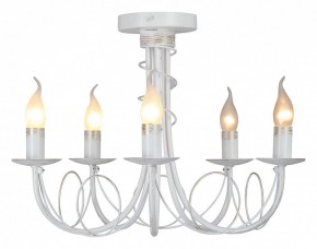 Люстра на штанге Vitaluce V3035 V3035-0/5PL в Кургане - kurgan.ok-mebel.com | фото 2