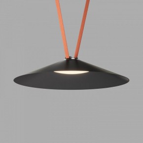 Накладной светильник Denkirs Belty Flow DK5569-BK в Кургане - kurgan.ok-mebel.com | фото