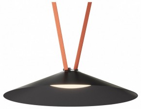 Накладной светильник Denkirs Belty Flow DK5569-BK в Кургане - kurgan.ok-mebel.com | фото 2