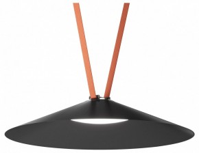 Накладной светильник Denkirs Belty Flow DK5668-BK в Кургане - kurgan.ok-mebel.com | фото