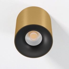 Накладной светильник Elektrostandard Primo 25116/LED в Кургане - kurgan.ok-mebel.com | фото 2