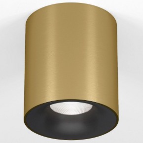 Накладной светильник Elektrostandard Primo 25116/LED в Кургане - kurgan.ok-mebel.com | фото 2