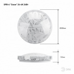 Накладной светильник Эра Классик SPB-6-24-4K (C) в Кургане - kurgan.ok-mebel.com | фото 6